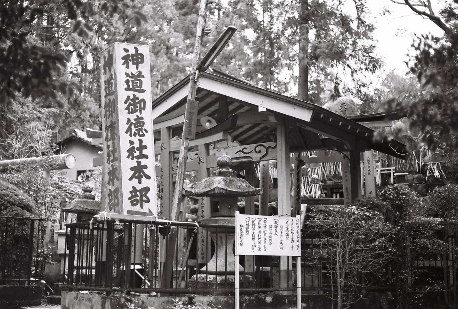 Photo from Stone Letter